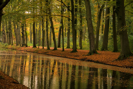 herfstkleuren