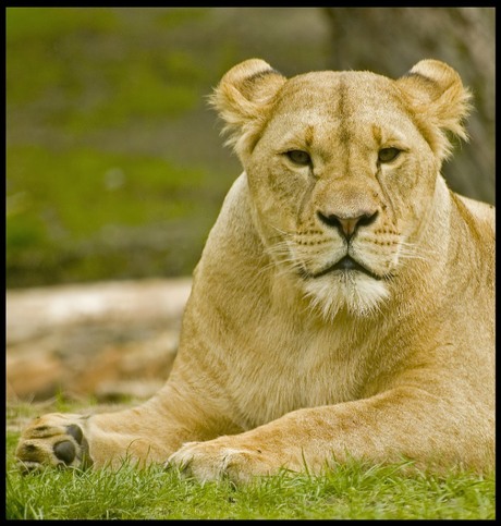 Recht in mijn ogen kijkend