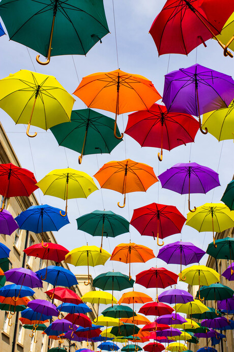 Paraplu's in Bath