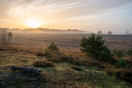 Zonsopkomst in de herfst