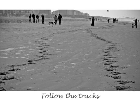 Follow the tracks