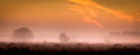 Mist op de Veluwe