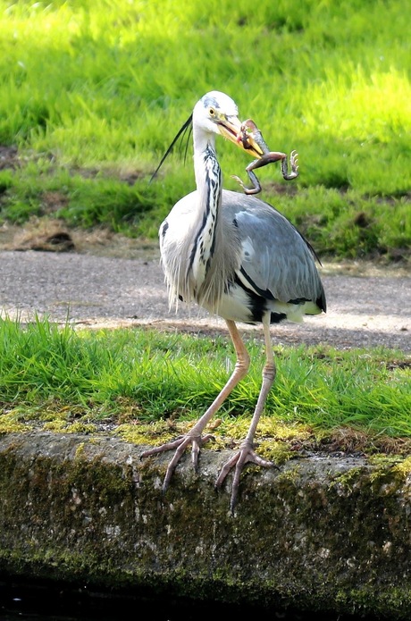 The catch of the day