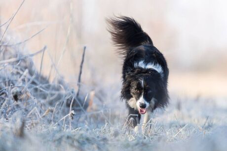 Exploring the frozen landscape