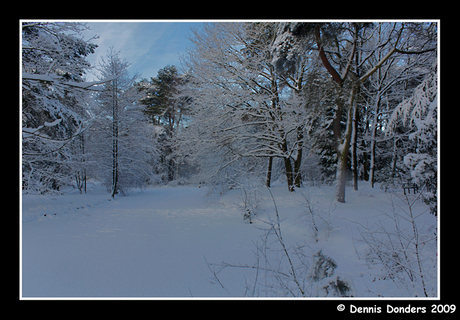 witte wereld 1