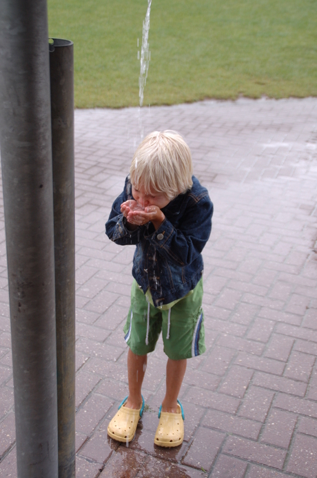 Dorst