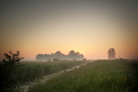 De zon komt