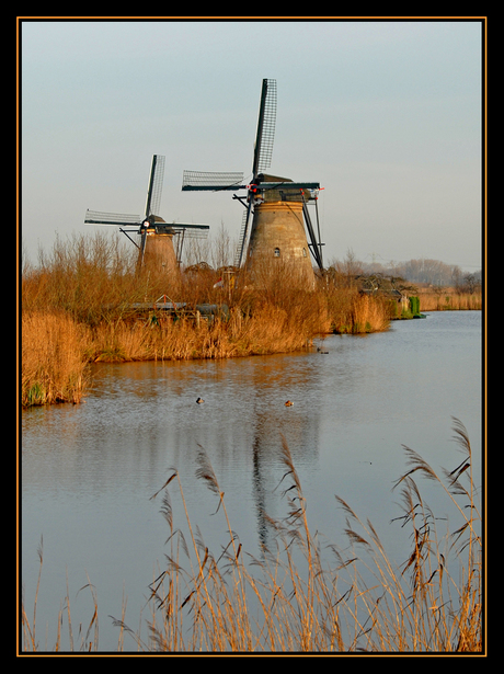 Windmolen Kinderdijk (7)