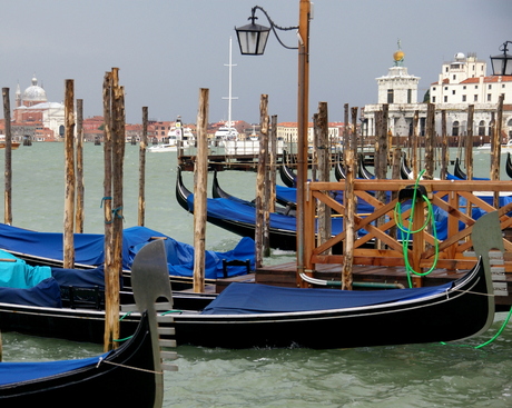 Venice: Gondolas