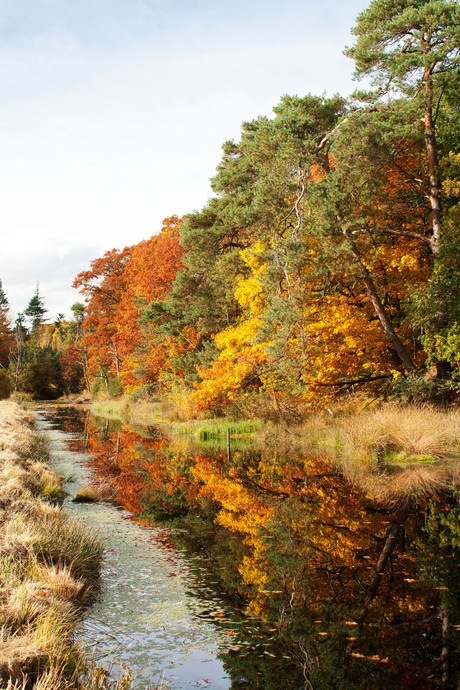 Herst in Brabant