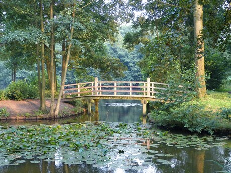 Monet in het park