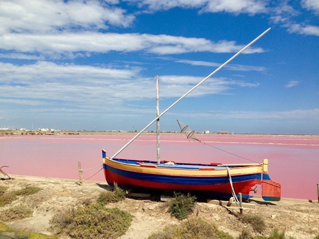 Les salines de Gruissan