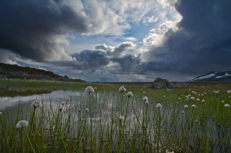 Jotunheimen 4