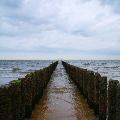 Palen op het strand