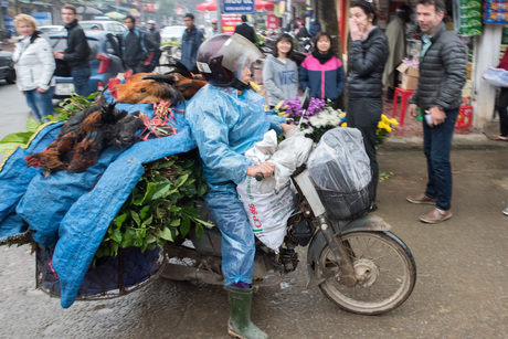 kippenboer gaat naar de Markt