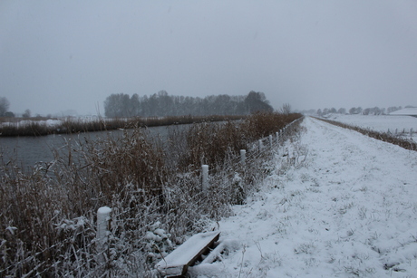 bij het kanaal