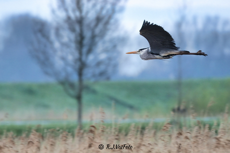 Onderweg 