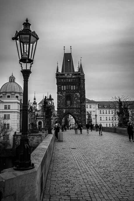 Karelsbrug in zwart/wit