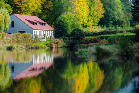 Herfstkleuren in de zuid-west Vogezen
