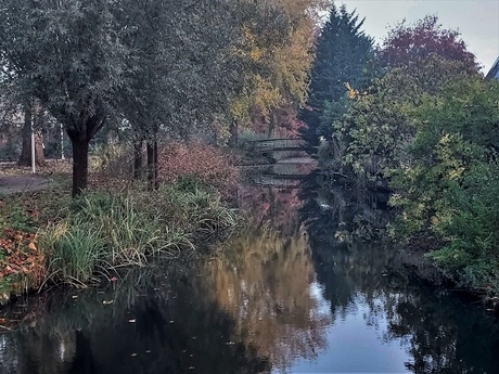 herfsttinten