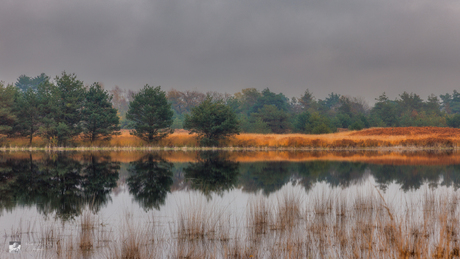 Herfst in Oisterwijk