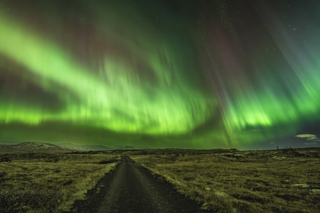 Noorderlicht Ijsland 2024 