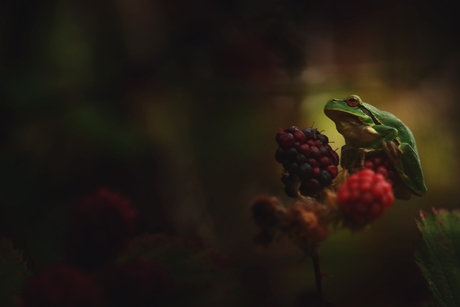 Eindelijk 2 vervolg.