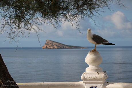 Balcon de Mediterraneo