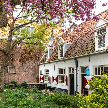 Het Brouwershofje Haarlem