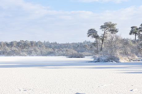 Goorven Oisterwijk in de sneeuw