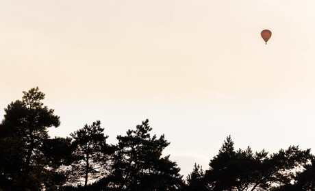 Luchtballon in goud licht