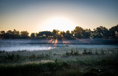 Zonsopkomst Rozenben Roosendaal