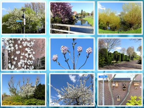 Collage   Naaldwijk  LENTE gevoel   in de wijk Opstal  14 april 2026 