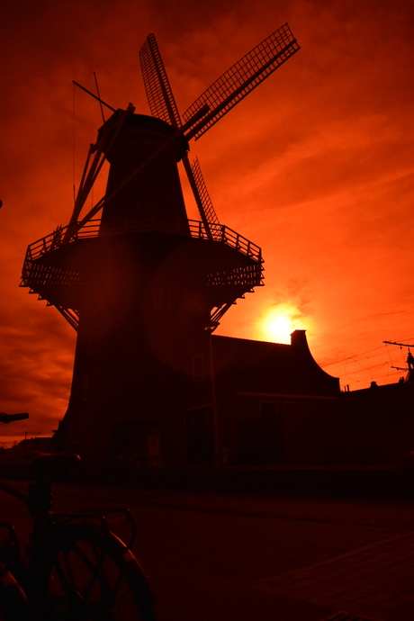 Molen