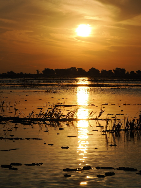 Sunset Okavanga Delta