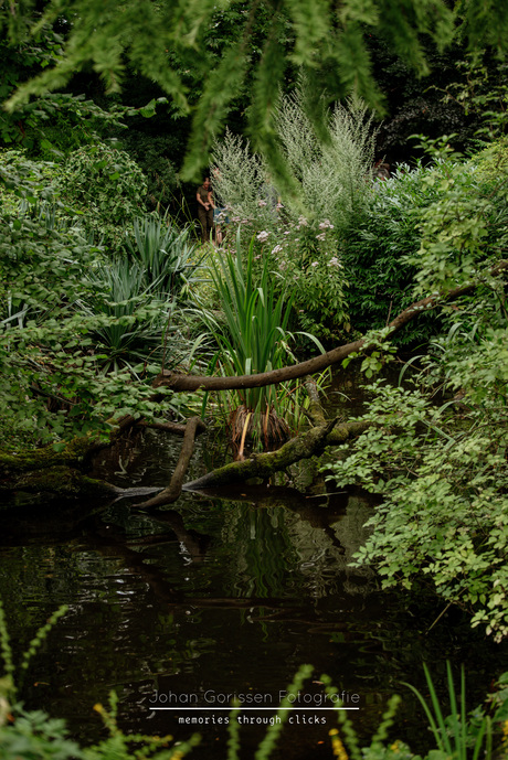 Natuur en water