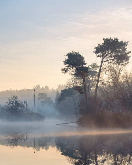 Sunrise with some fog