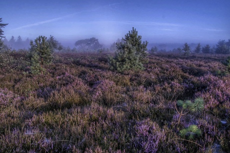 Het blauwe uurtje.