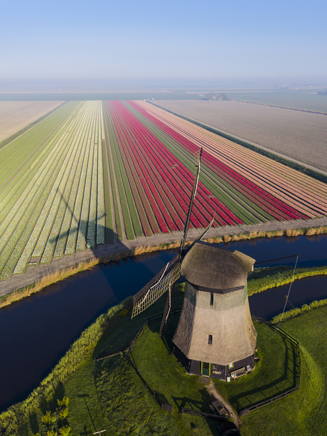 Schaduw in ochtendgloren