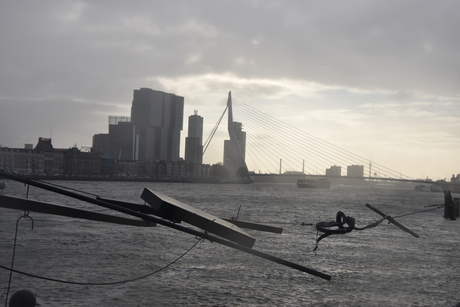 Erasmusbrug vanaf de Willemsbrug