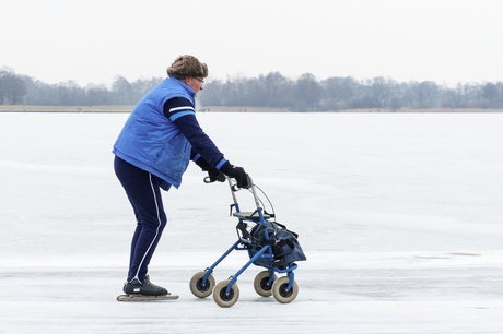 Jong geleerd is oud gedaan