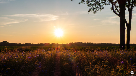 Zomer gevoel 