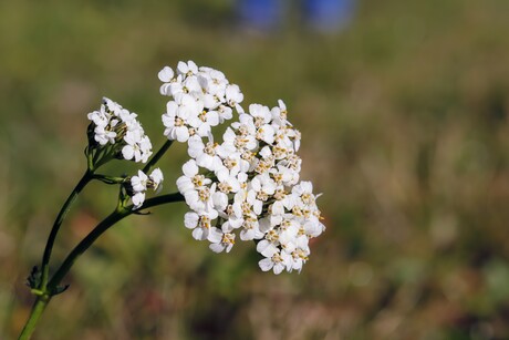 Mooie natuur in Oktober 