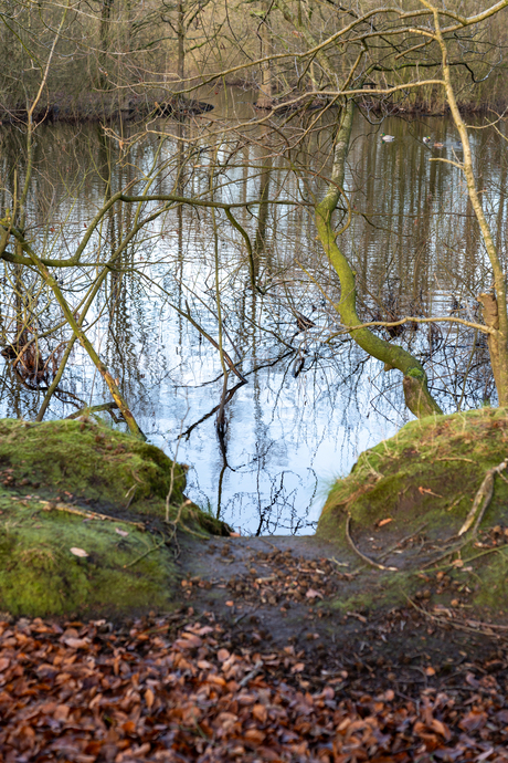 Doorkijkje