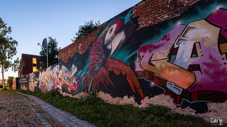 Graffitimuur in Roden