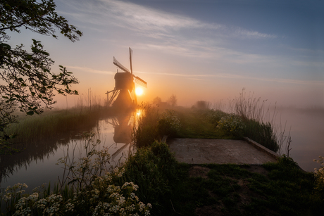 Broekmolen bij zonsopkomst