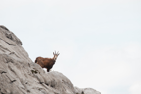 Hidden Gems in the Alps
