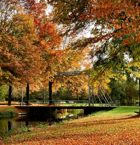 Herfstkleuren