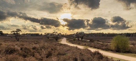Zonsondergang op de Zuiderheide
