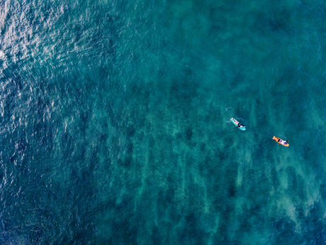 Surfers
